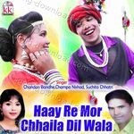 Haay Re Mor Chhaila Dil Wala - Champa Nishad Song Download